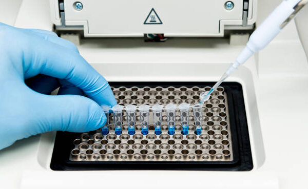 Dreaming of a Healthcare Career