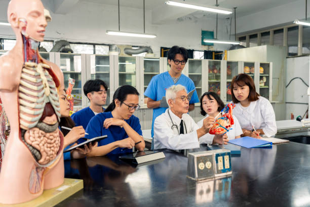 Guide to Online Cardiology Courses