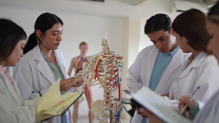 A Comprehensive Guide to Anatomy and Function for MBBS Students